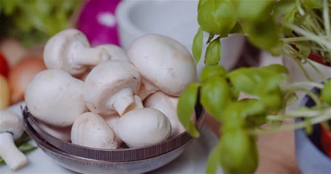 Organic Mushrooms Stock Footage 304879008
