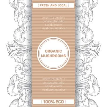 Organic mushrooms. Packaging template. Set of edible mushrooms. vintage Illustrazione stock
