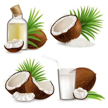 Organic natural coconut set, vector isolated illustration Stock Illustration