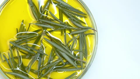 Organic oil. Stock Footage 242803336