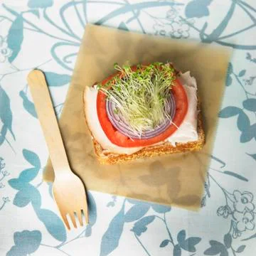 Organic Open Faced Turkey Sandwich with Onion, Tomato and Chia Seed Sprouts Stock Photos
