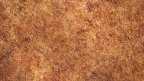 Organic Orange Decayed Video Texture - Film Grain Grunge Overlay 07 Stock Footage 148690580