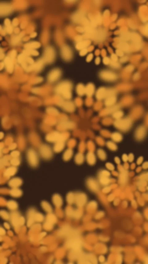 Organic orange floral pattern on dark background. 2d animation Stock Footage 345393372