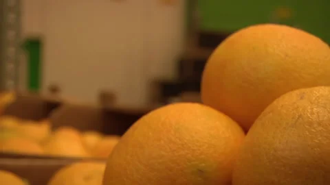 Organic Oranges Stock Footage 135698656