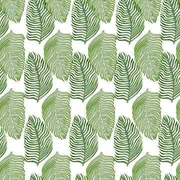 Organic palm leaf seamless pattern with hand drawn foliage print. Simple colo Illustrazione stock
