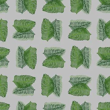 Organic palm leaf seamless pattern with hand drawn foliage print. Simple colo Illustrazione stock