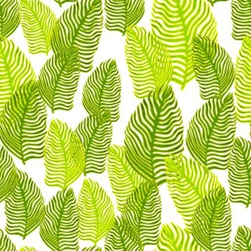 Organic palm leaf seamless pattern with hand drawn foliage print. Simple colo 스톡 일러스트