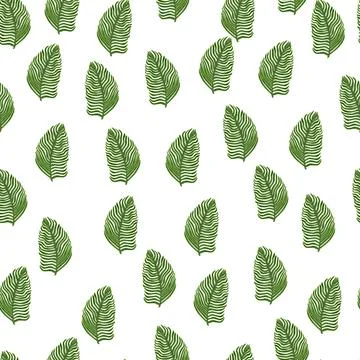 Organic palm leaf seamless pattern with hand drawn foliage print. Simple colo 스톡 일러스트