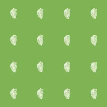 Organic palm leaf seamless pattern with hand drawn foliage print. Simple colo Illustrazione stock