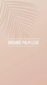 Organic palm leaf. Vector shadow from tropical palm leaves. Workplace and rel Stock Illustration