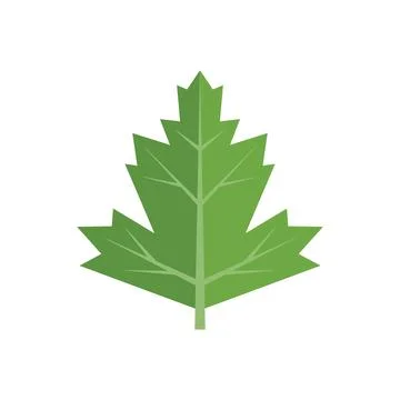 Organic parsley icon flat vector. Garnish plant Illustrazione stock