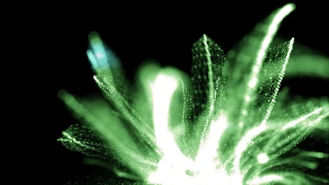 Organic particle effect with camera movement. Stock Footage 92465700