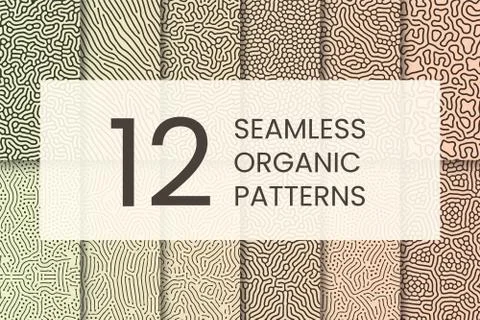 Organic pattern set. Abstract shapes like corals. 库存插图