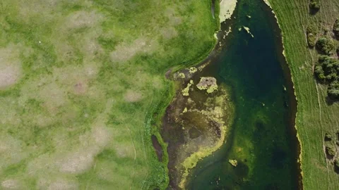 Organic patterns of green shoreline and pristine lake water in Kazakhstan Vídeo Stock 337206339