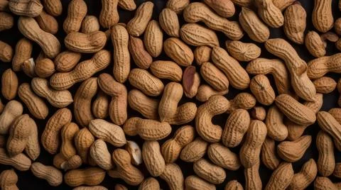 Organic Peanut Nuts Horizontal Background. 스톡 일러스트