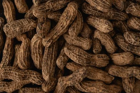 Organic Peanuts macro close up Stock Photos