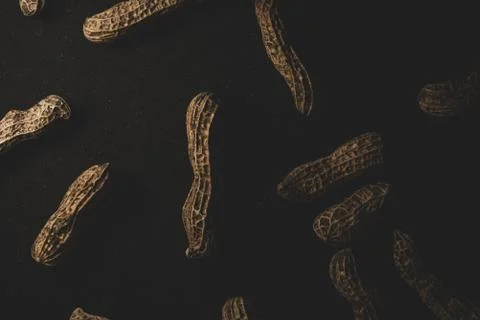 Organic Peanuts macro close up Stock Photos