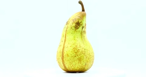 Organic Pear White Background Stock-Footage 144385328