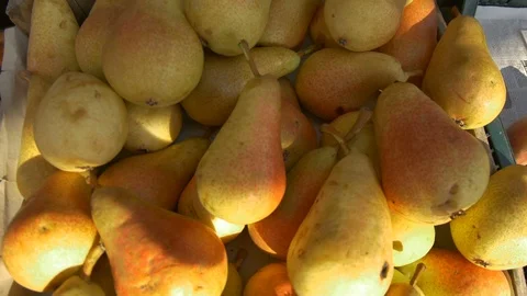 Organic Pears on Market Table Stock Footage 113764148
