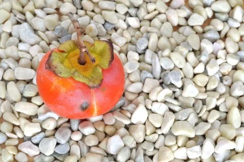 Organic persimmon with white pruina and some natural spots on peelper Stock Photos