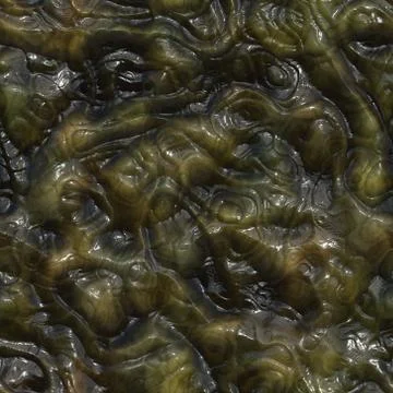 Organic Stock Photos