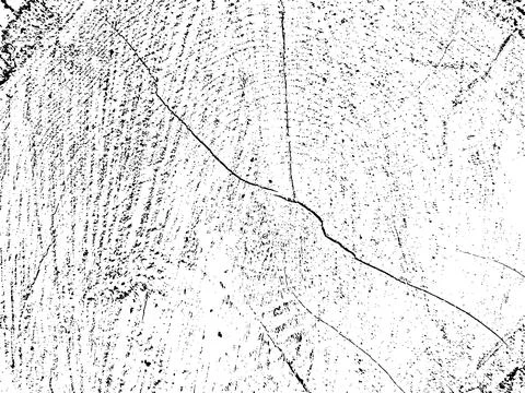 Organic pine tree cross-section grunge texture with cracks Illustration