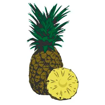 Organic pineapple tropical Stock Illustration