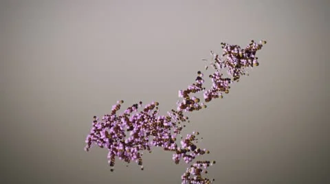 Organic Pink Balls Stream Stock Footage 67963413