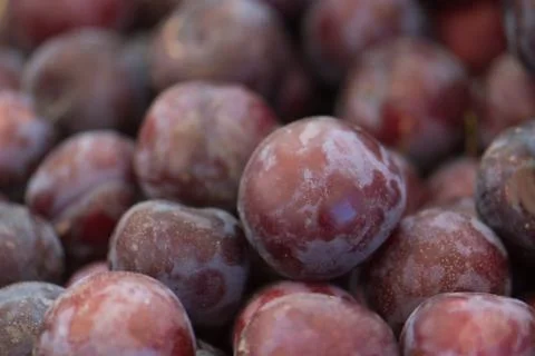 Organic Plums Stock Photos