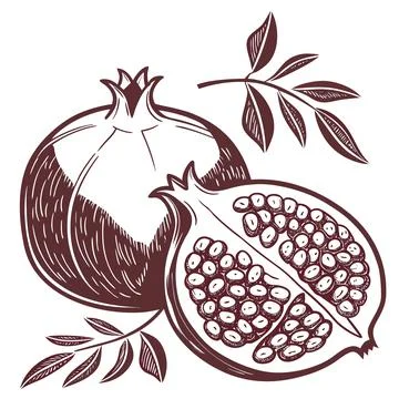 Organic Pomegranate Fruit Flat Vector Stock Illustration