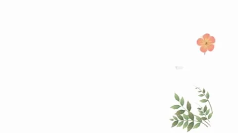 Organic postcard After Effects stock