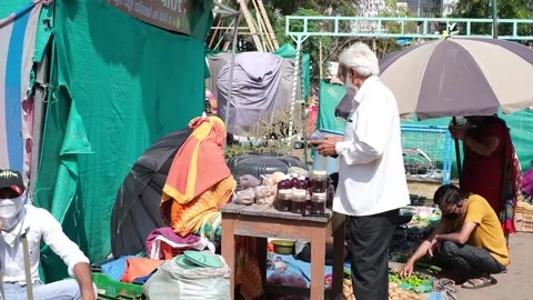 Organic products are distributed in the organic market Vídeo Stock 246900566