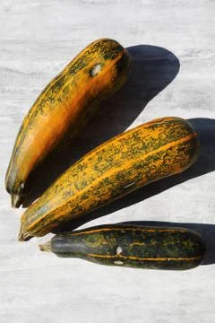 Organic pumpkins Stock Photos