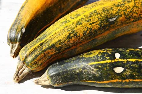 Organic pumpkins Stock Photos