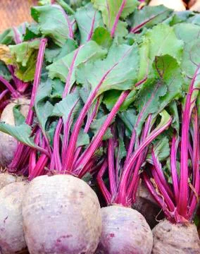 Organic radish Foto stock
