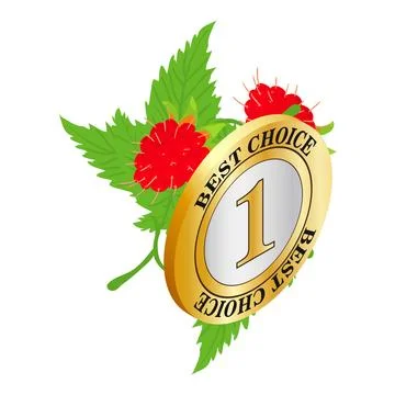 Organic raspberry icon isometric vector. Red ripe raspberry and best choice icon Stock Illustration