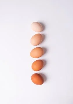 Organic raw eggs on a white background. Dark and light brown eggs. Stock Photos