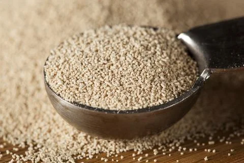 Organic Raw Yeast for baking bread against a background Stock Photos