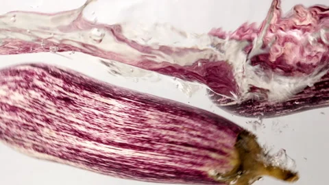Organic red eggplants falling and splashing into fresh water Stock Footage 171180154