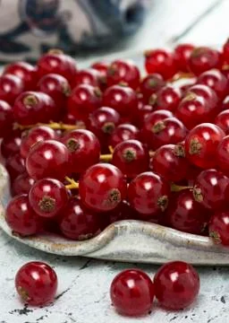 Organic redcurrant Stock Photos