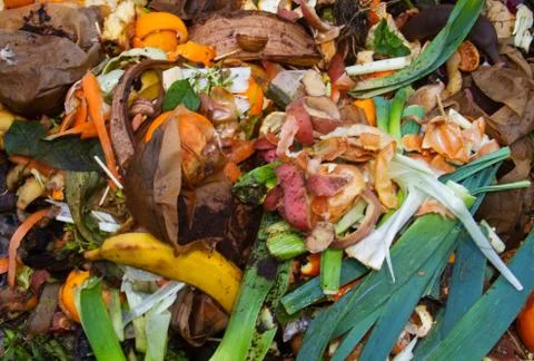 Organic refuse on compost heap Stock Photos