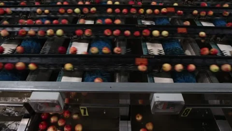 Organic ripe apples in an automatic production process in a food industry Stock Footage 150160307