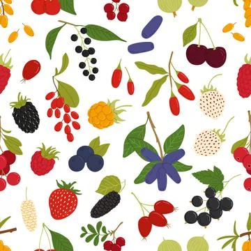 Organic ripe berries seamless pattern background Illustrazione stock