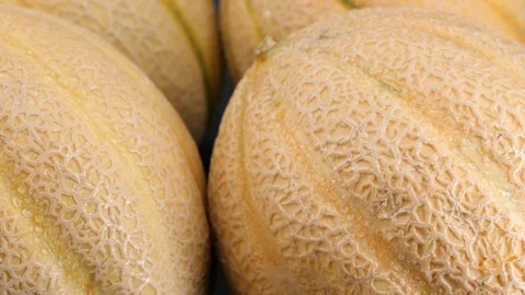 Organic ripe melons close-up dolly shot. Stock Footage 113672829