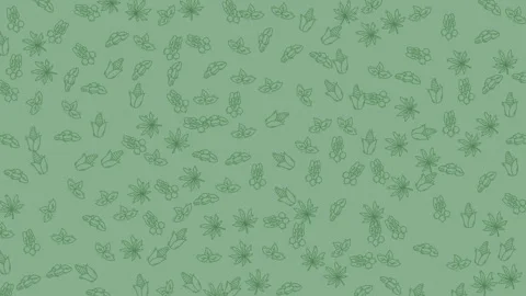 Organic sage green background featuring plant and gardening tool line art p.. 스톡 동영상 335926367