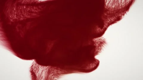 Organic shape particles on white background seamless loop. 4K 60 fps looping ani Stock Footage 346387577