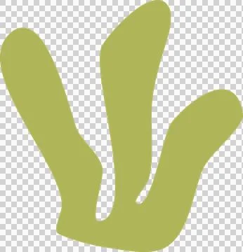 Organic shape Stock Photos