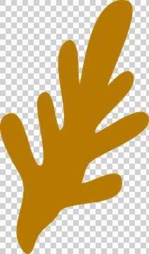 Organic shape Stock Photos