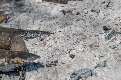 Organic soil layer containing ash and charred wood. Ecological gardening co.. Stock Photos
