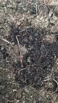 Organic Soil Texture with Compost and Natural Garden Background Stock Photos
